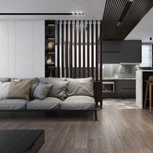 thiet-ke-noi-that-chung-cu-Hacinco-Le-Van-Luong